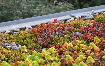 the cost of Aldwarke green roof installation